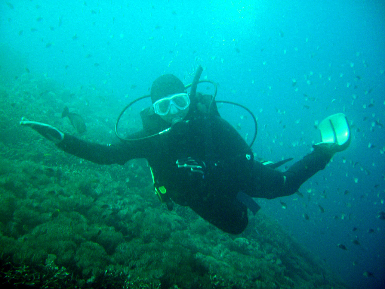 Diving at Nusa Penida, Bali, Indonesia