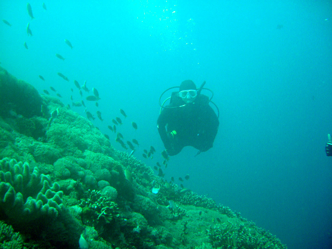 Diving at Nusa Penida, Bali, Indonesia