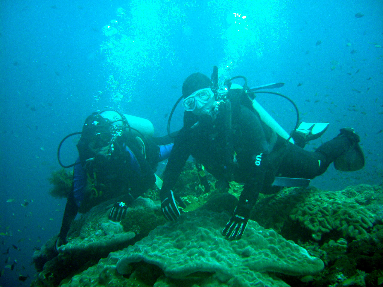 Diving at Nusa Penida, Bali, Indonesia