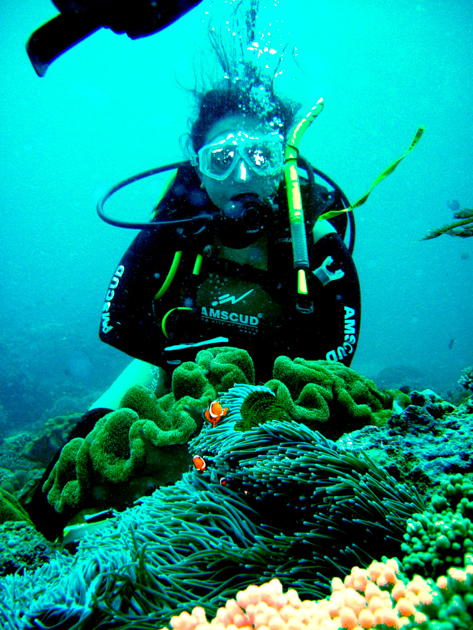 Diving at Padang Bai, Bali, Indonesia