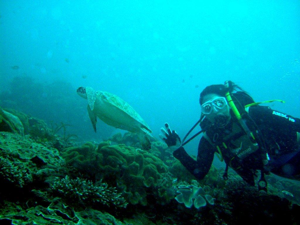 Diving at Padang Bai, Bali, Indonesia