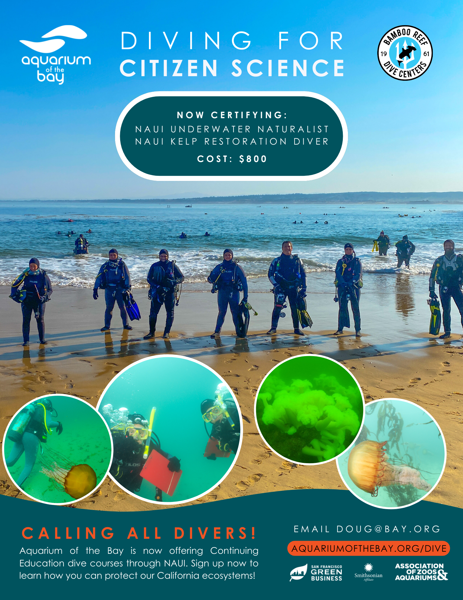 Diving Citizen Science Vertical Flyer (1).png