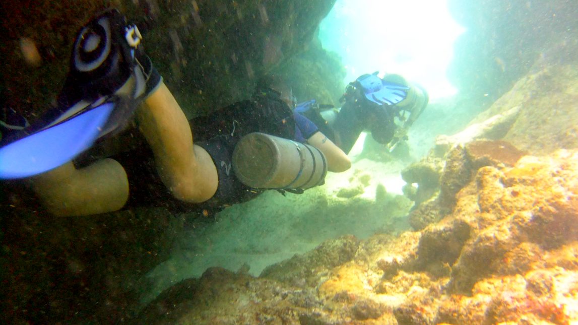 Diving in Carriacou, Grenada W.I with Deefer Diving