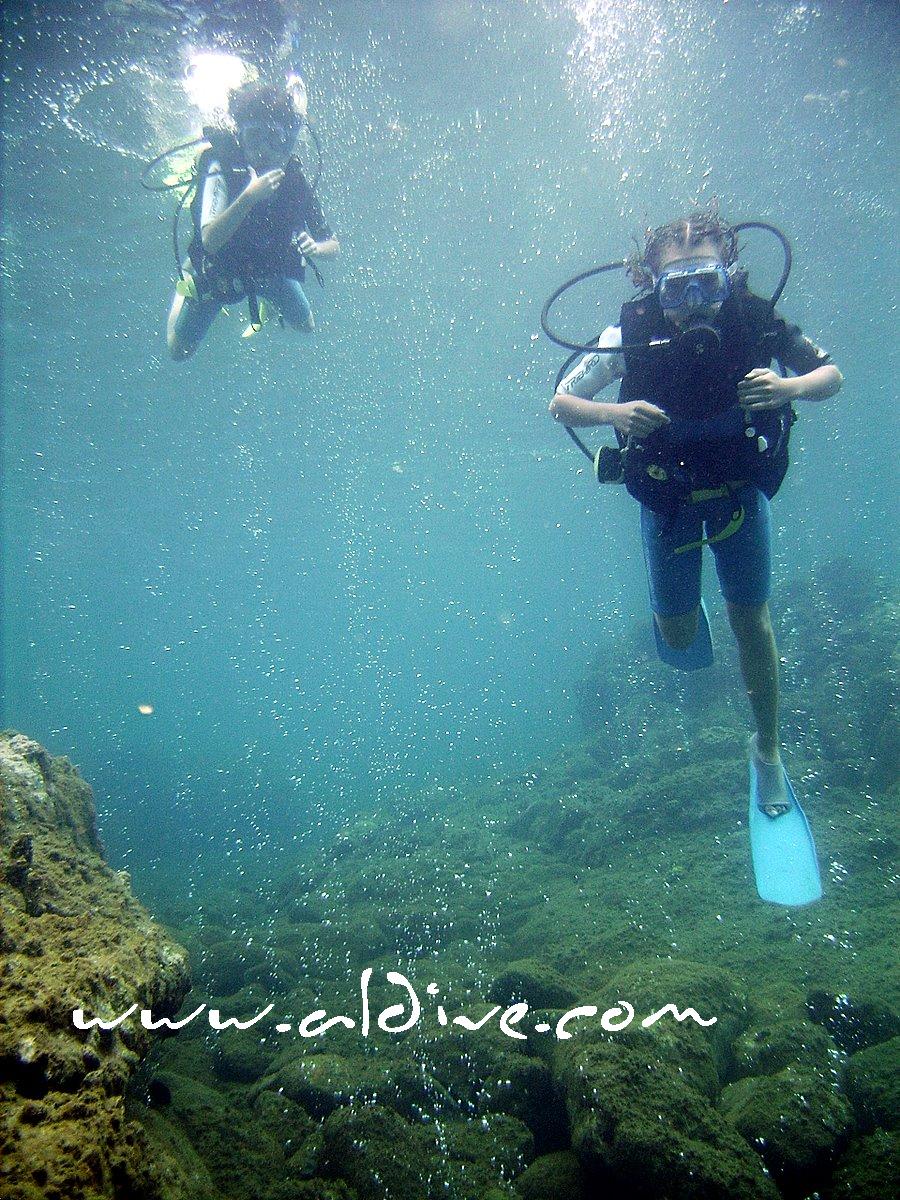 diving in Dominica