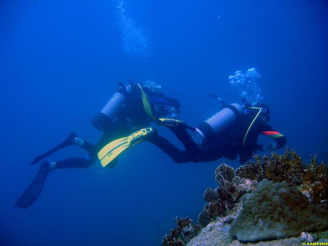 Diving in NhaTrang