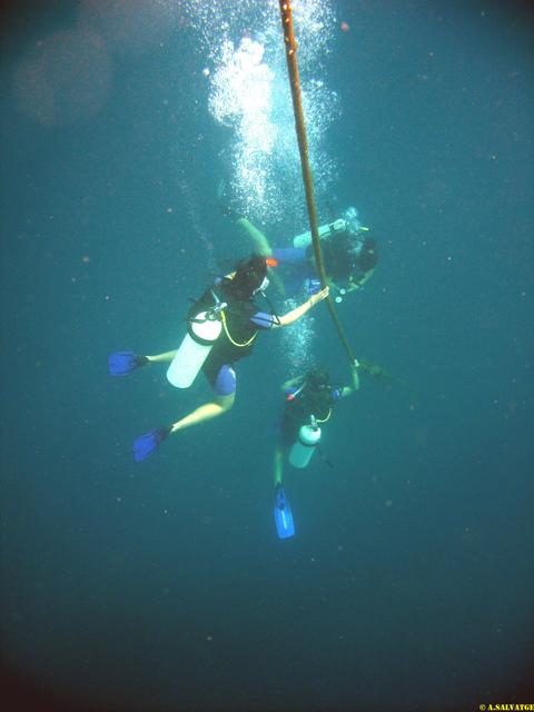 Diving in NhaTrang