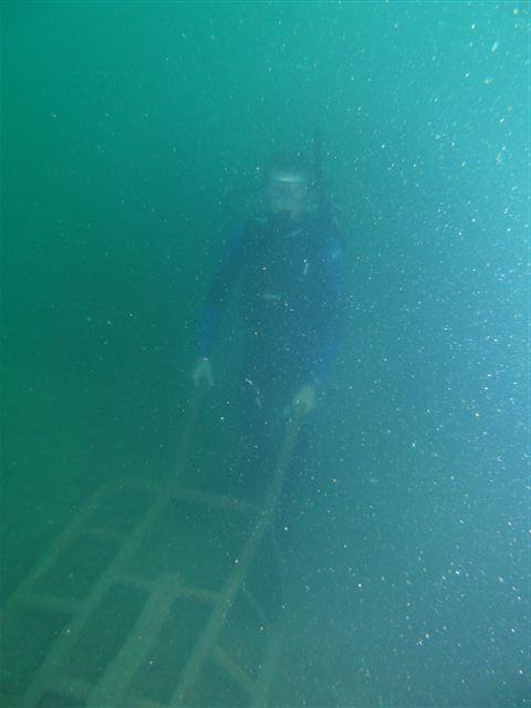 Diving in Senegal