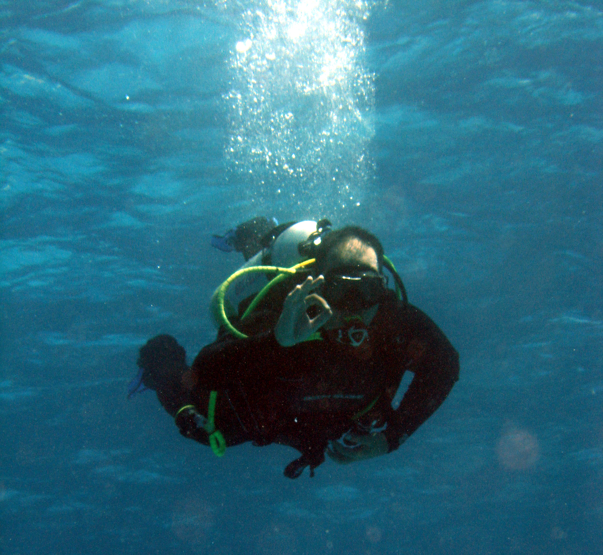 diving in Sharm elshikh