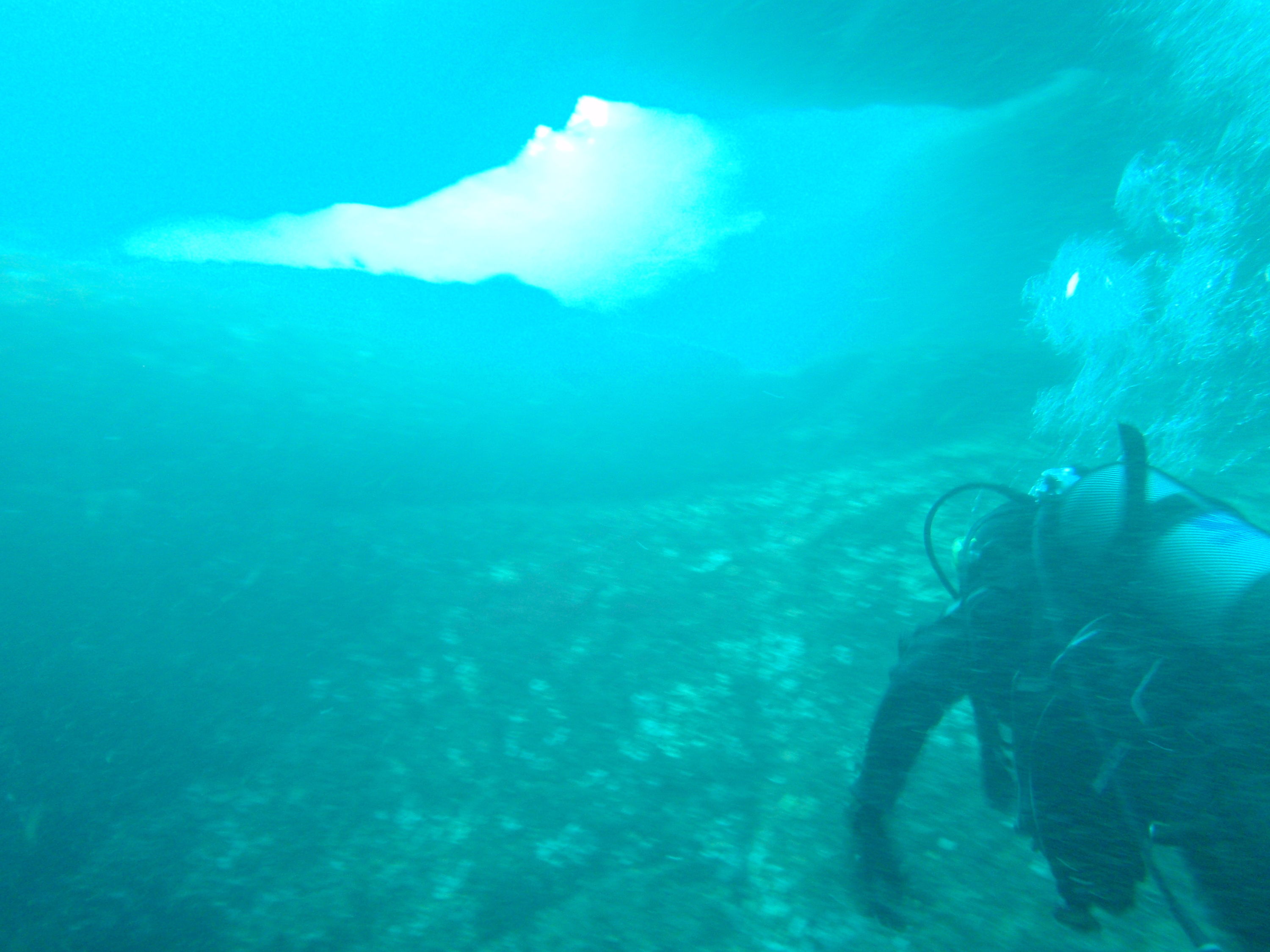 Diving in the Faroe Islands