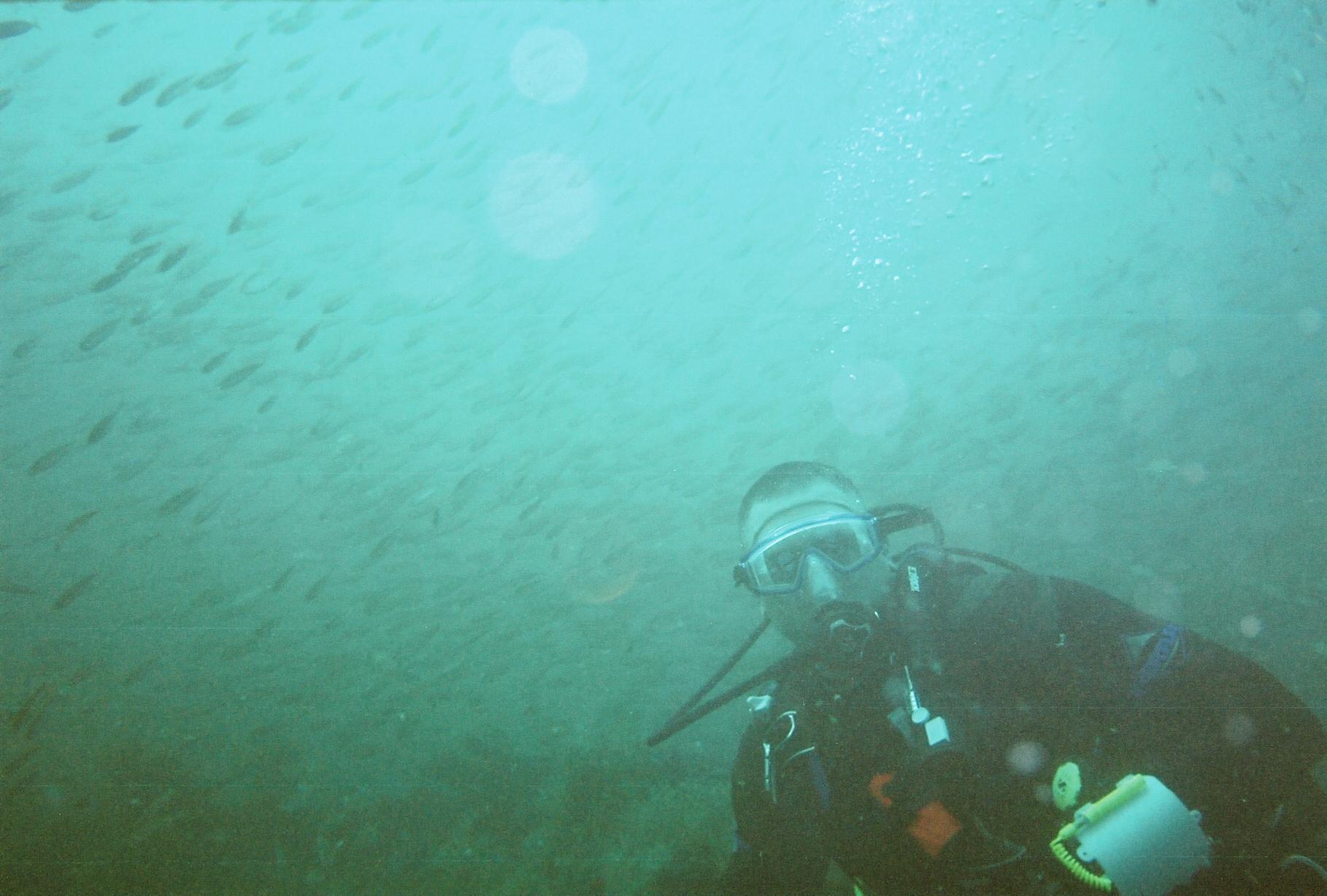 Diving on the Russian Freighter in Pensacola, Florida