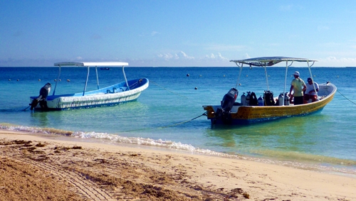 Diving Pics of Puerto Morelos