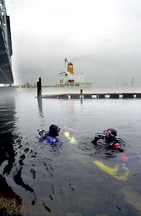 Diving Piscataqua in AM