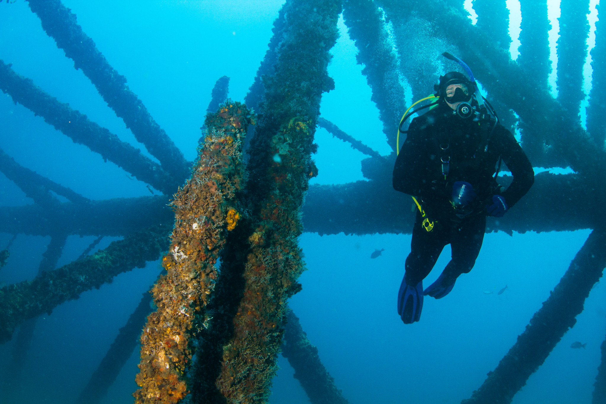 Diving Rigs to Reefs