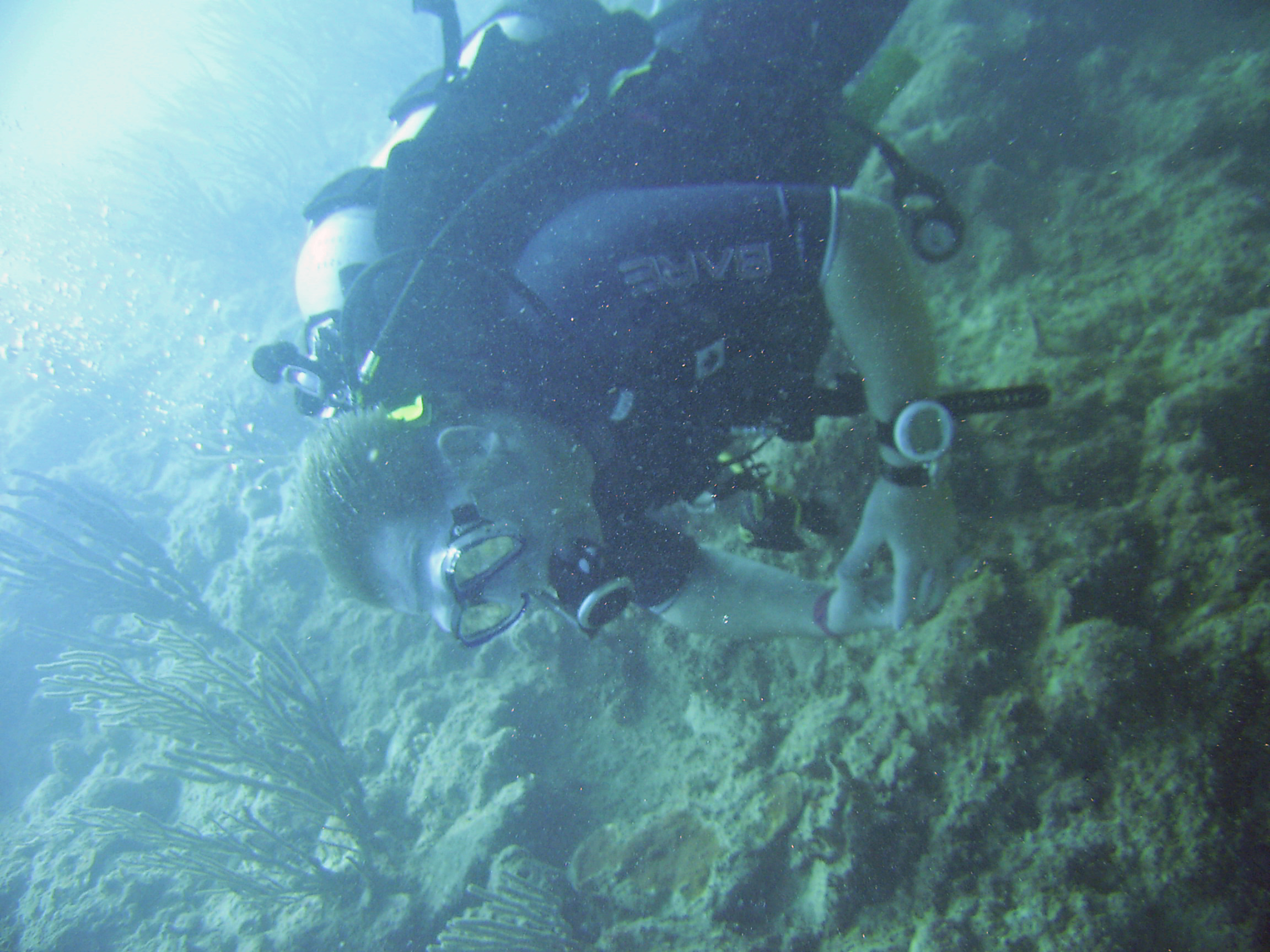 Diving Sosua Oct 09