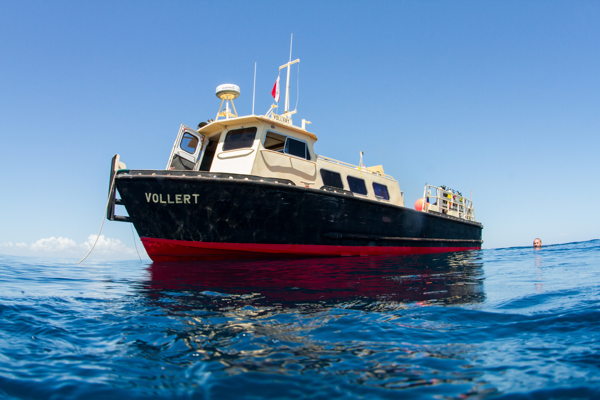 Diving the Gulf