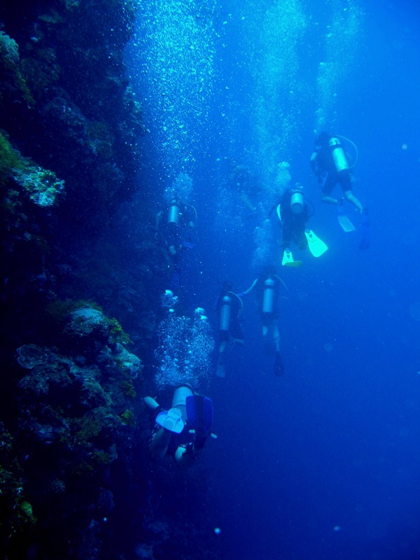 Diving the wall at Blue Hole Palau