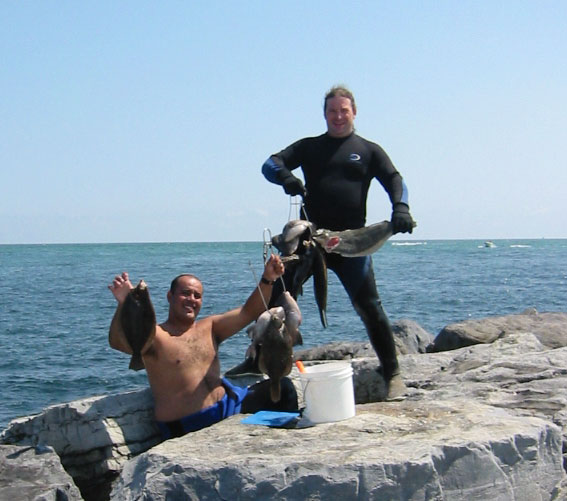 Diving with friends