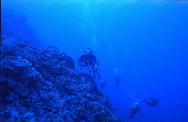 Diving_tenerife_SUBCANARIA_COM