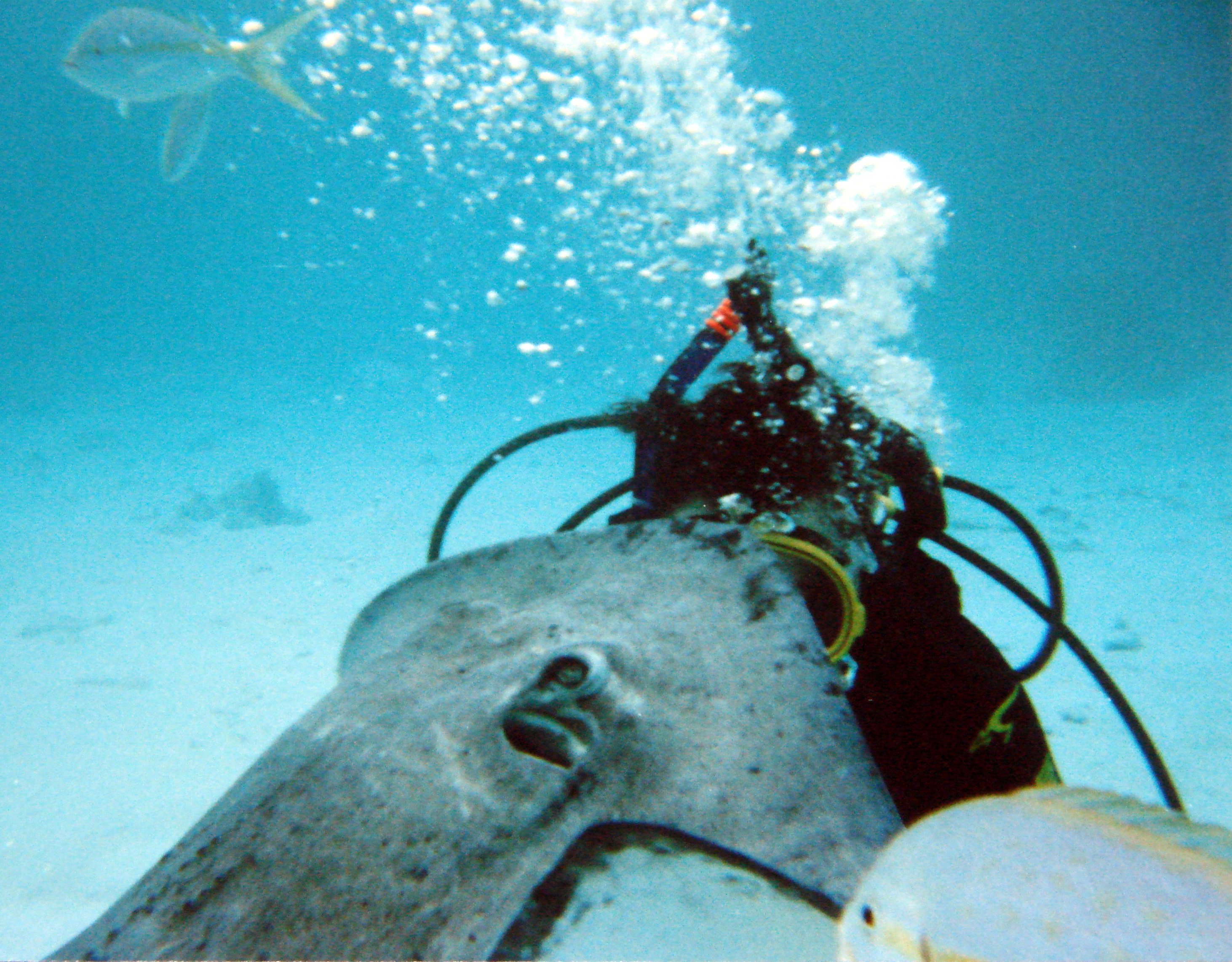 Diving_with_Stingray