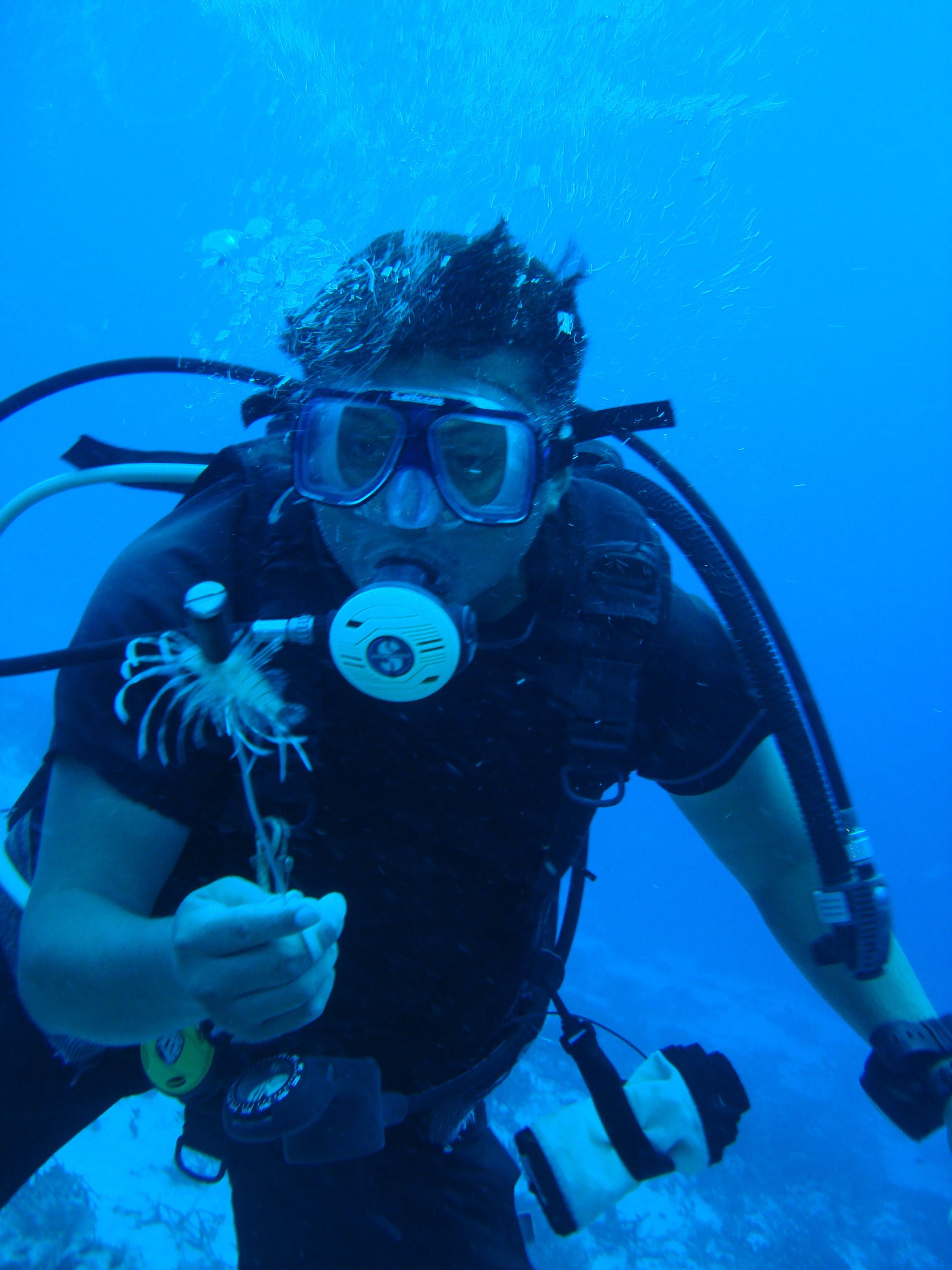 DM spears the lionfish!