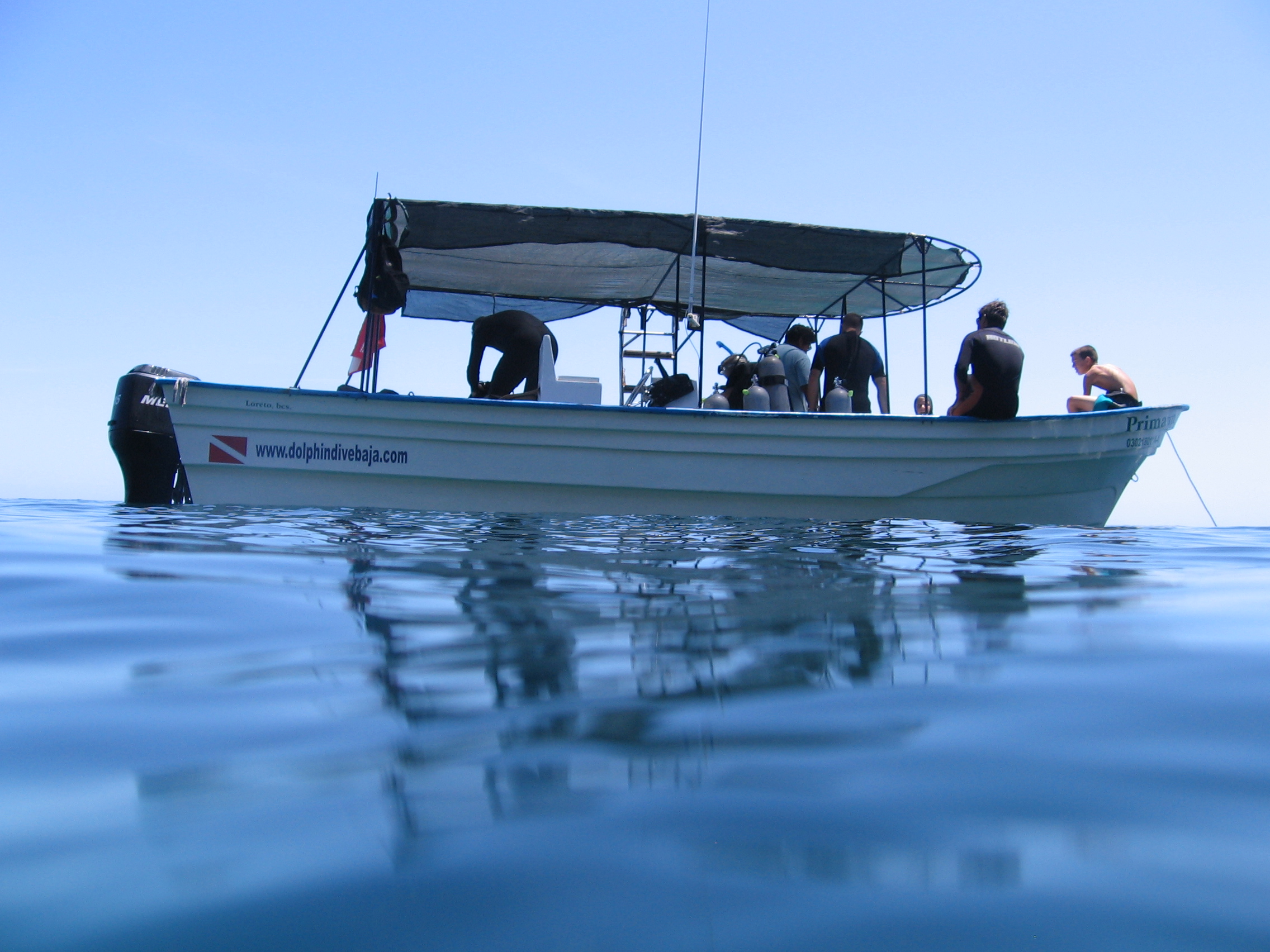 Dolphin Dive Panga - Loreto Baja Sur