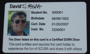 Dork Diver Card2
