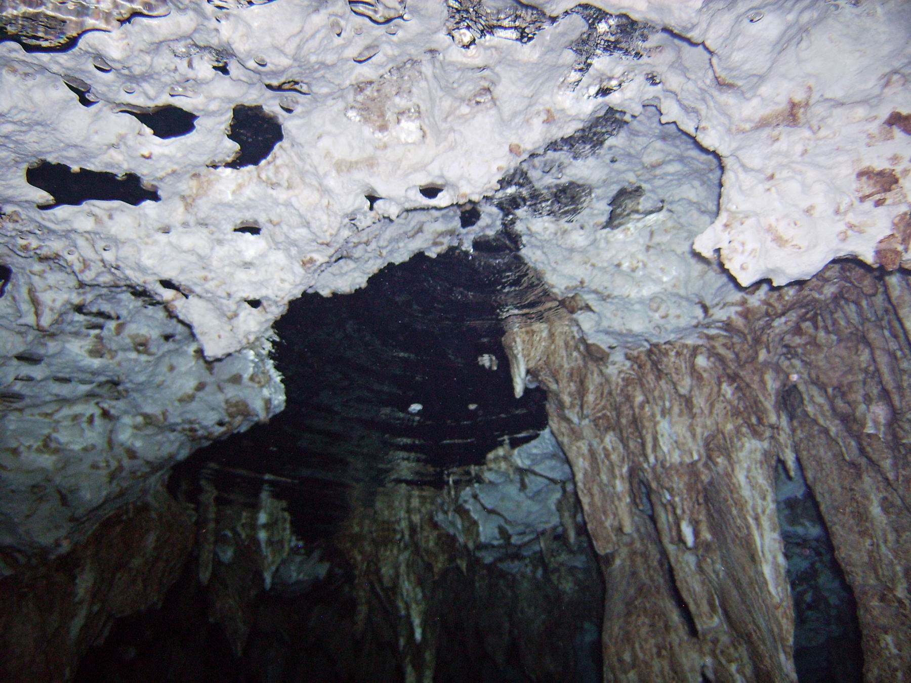 Dos Ojos Cenotes