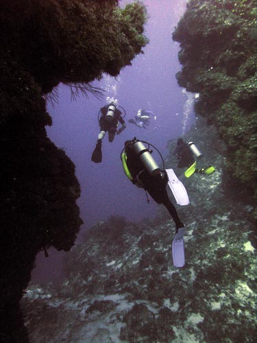 Drift diving on Cozumel's Reefs