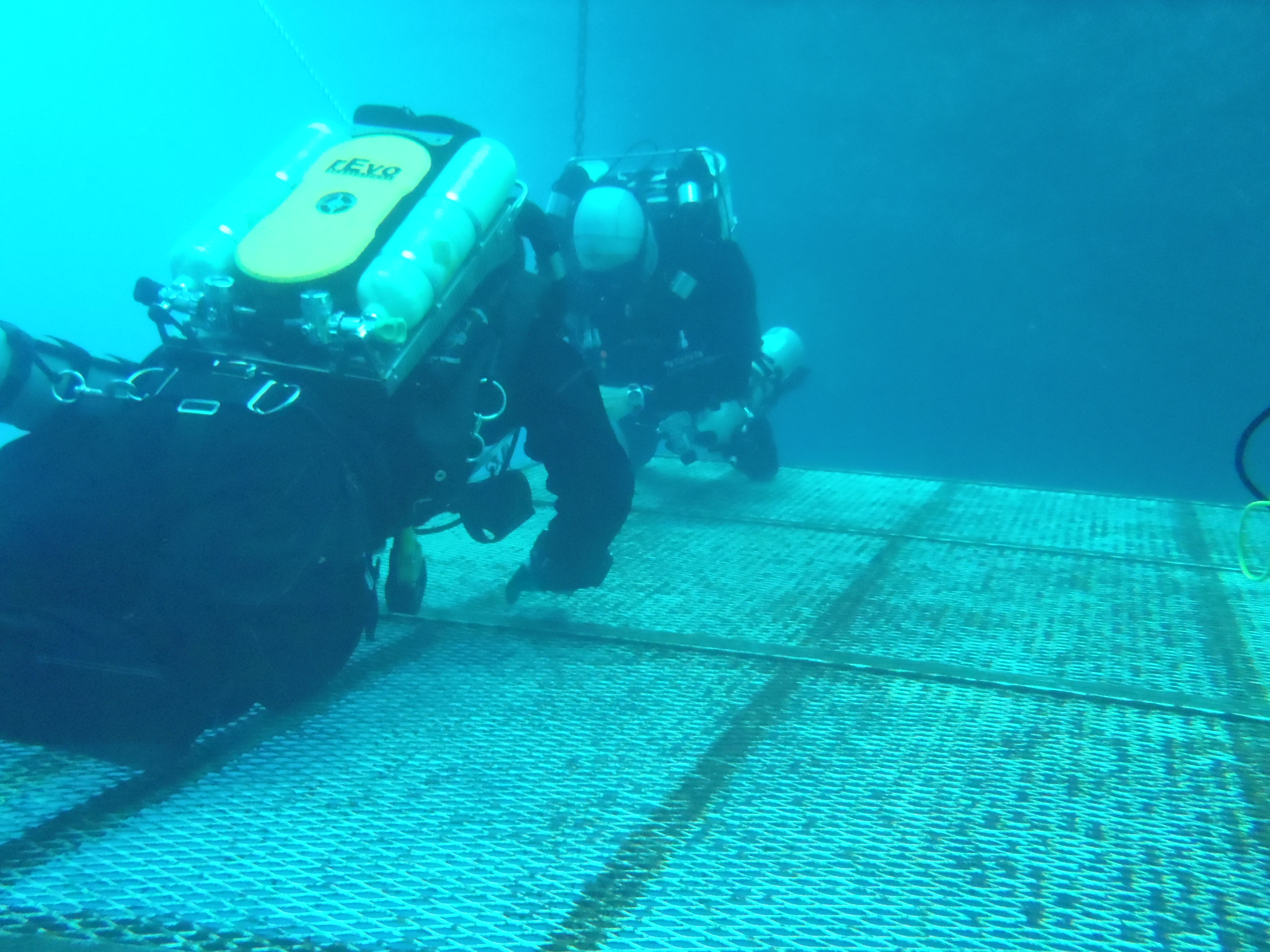 Drills on the platform: Open Water portion
