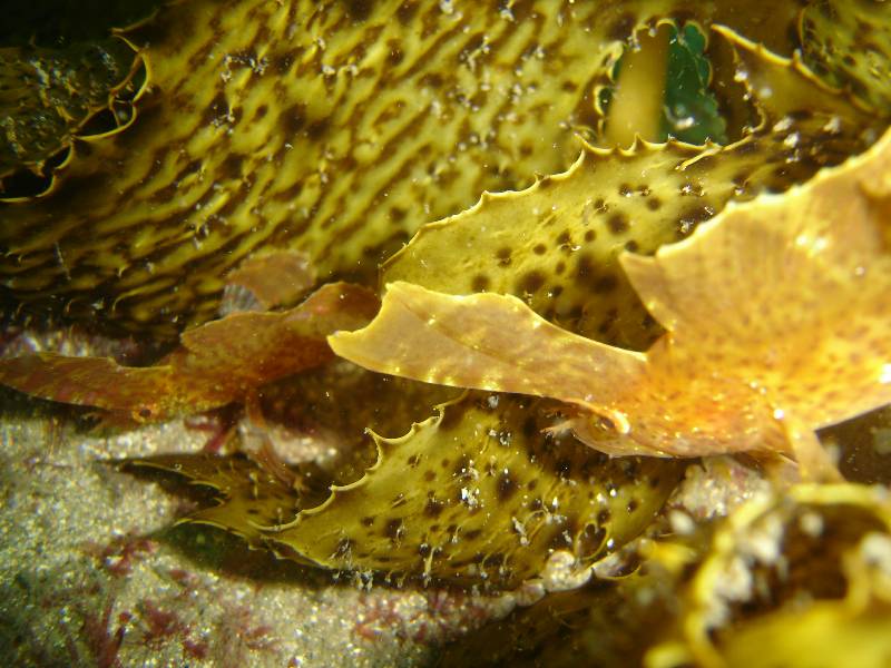 DSC01268