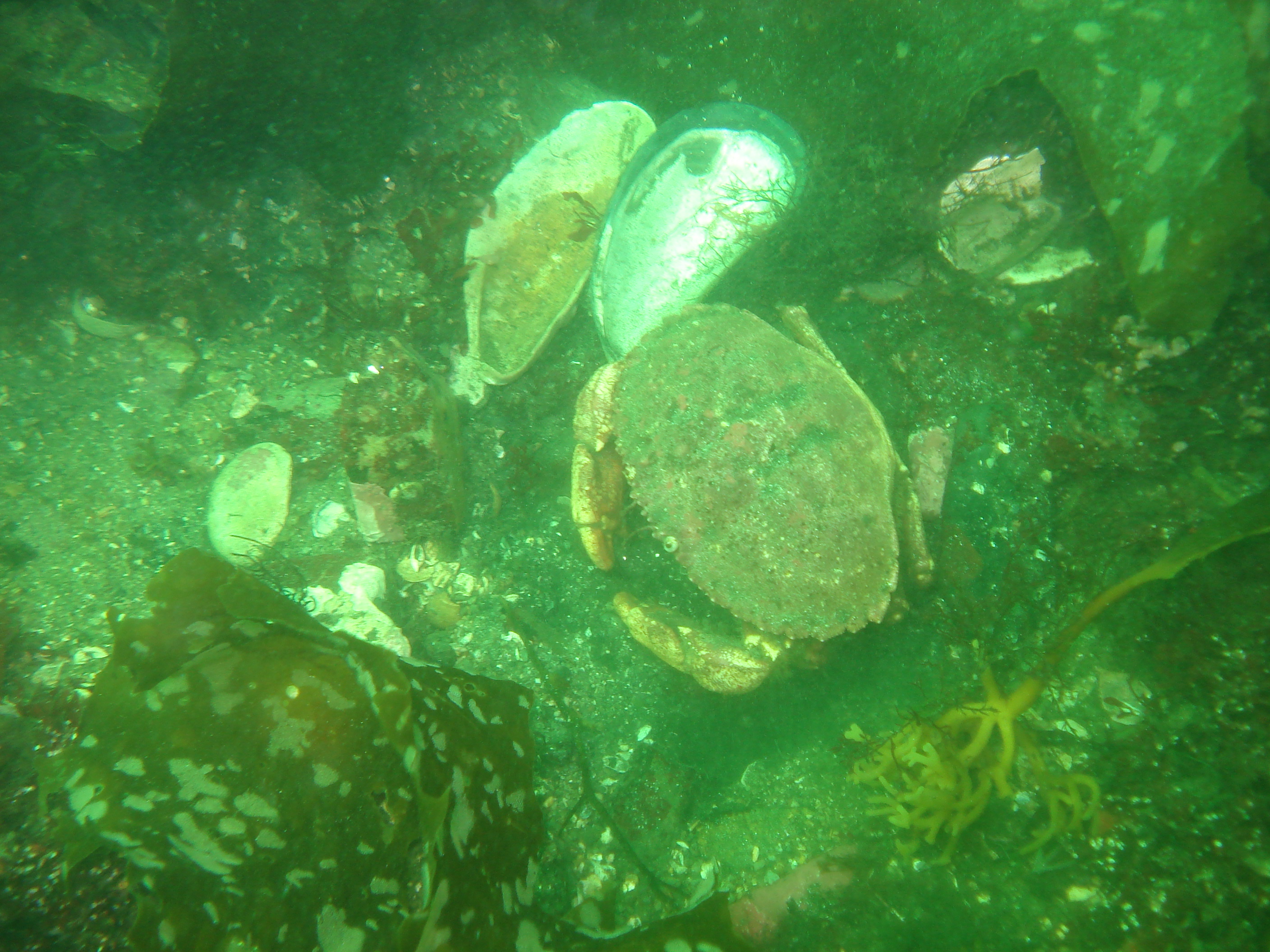 DSC033061