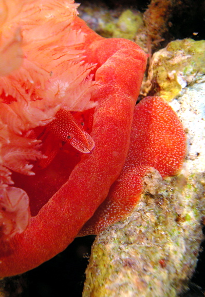 DSCN3470_11