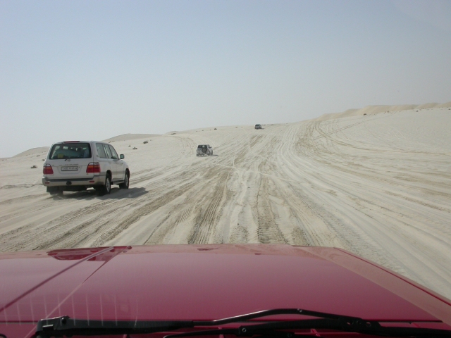 Dunes of Qatar