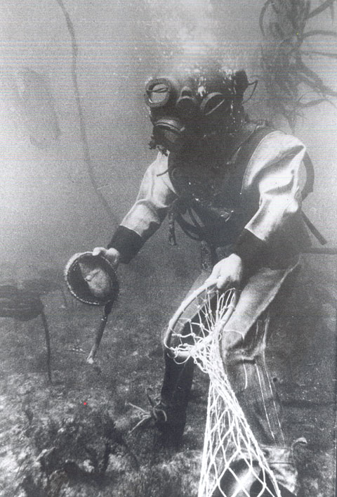 Early Commercial Abalone Diver