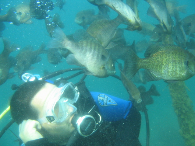 EDDIE GETTING HIS EARS BIT BY BLUEGILLS