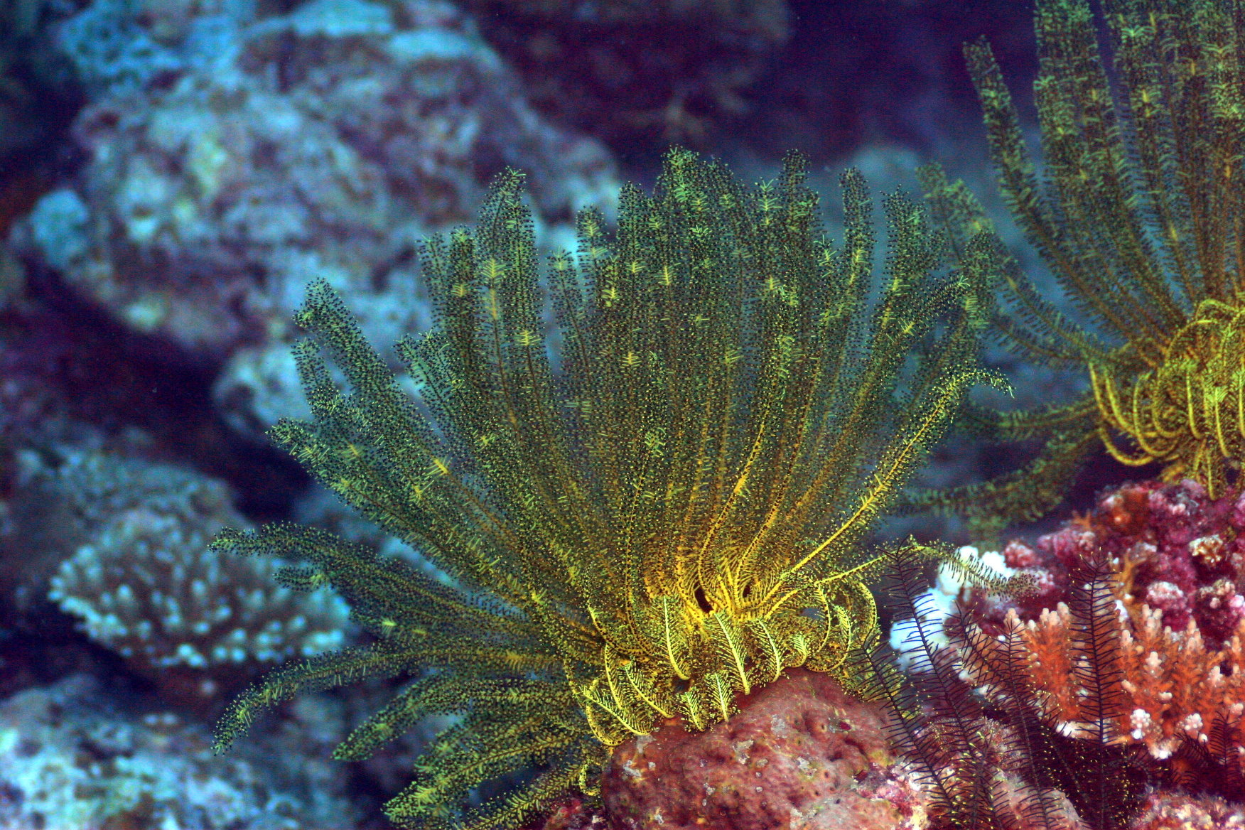 El Nido - Palawan, Philippines