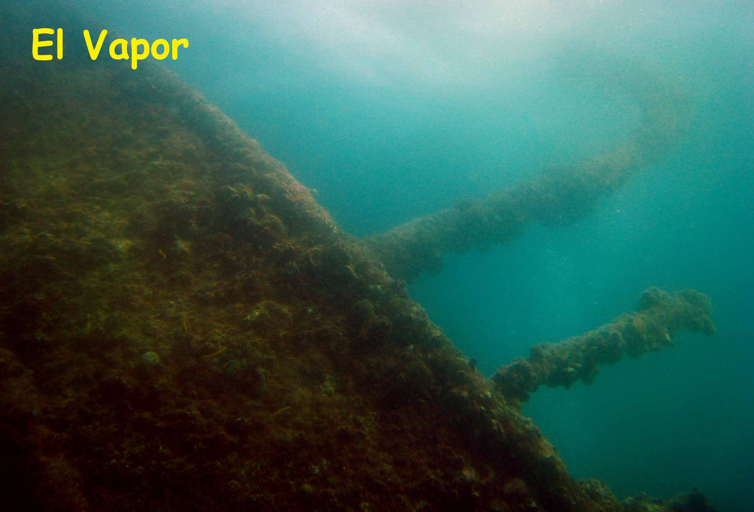 El Vapor Wreck, Mochima National Park, Venezuela