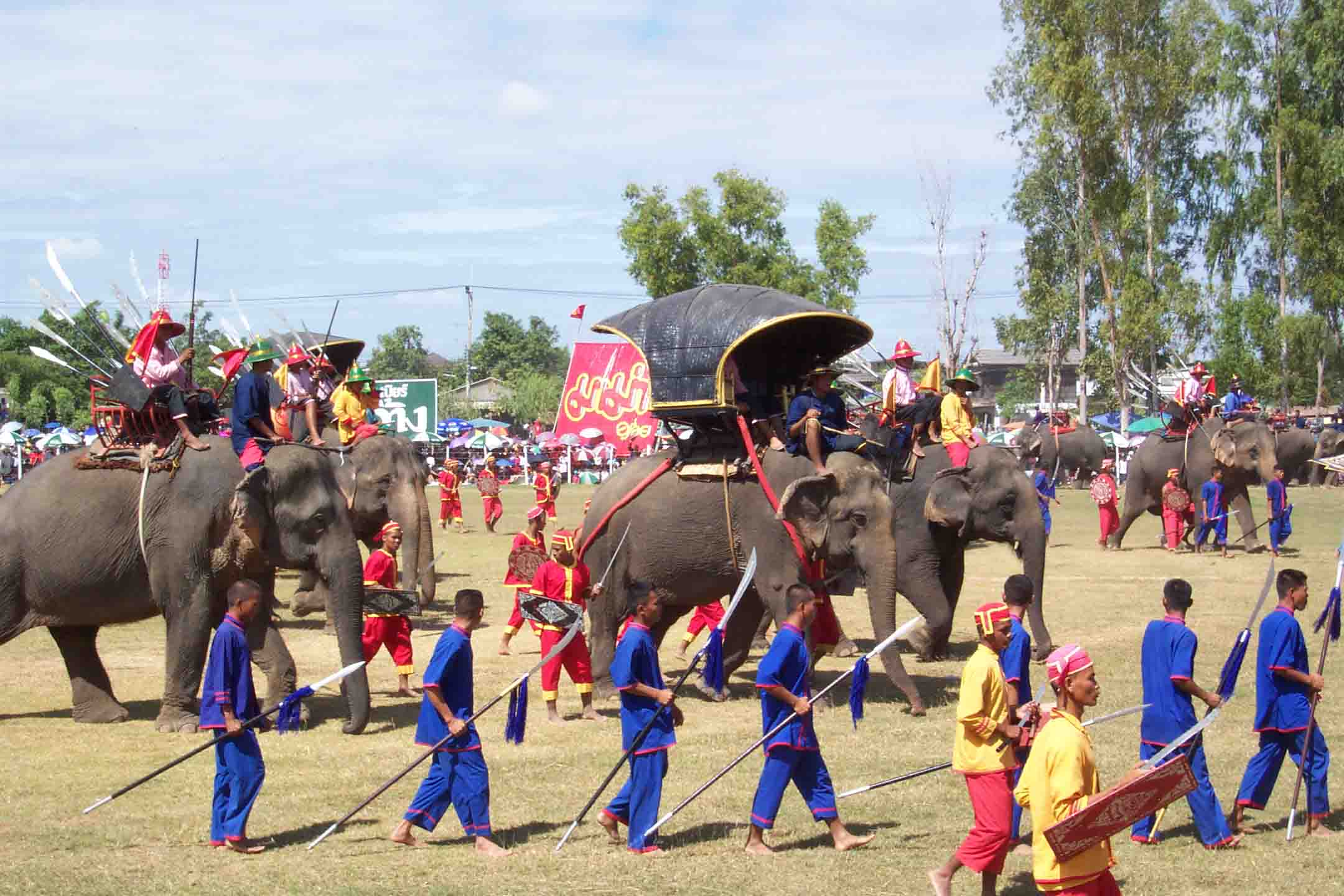 Elephant Round-Up