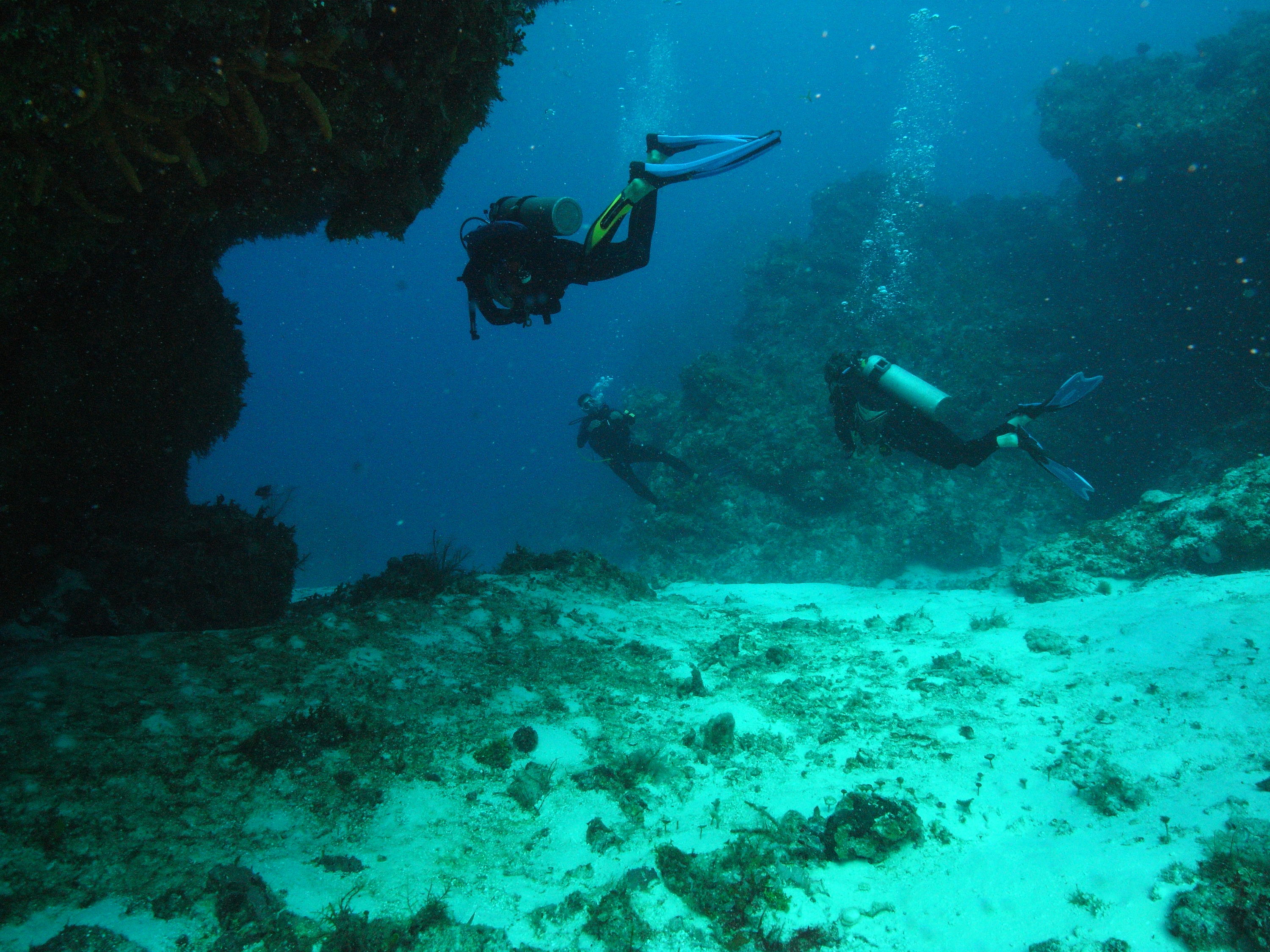 Eploring the reef, Cozumel