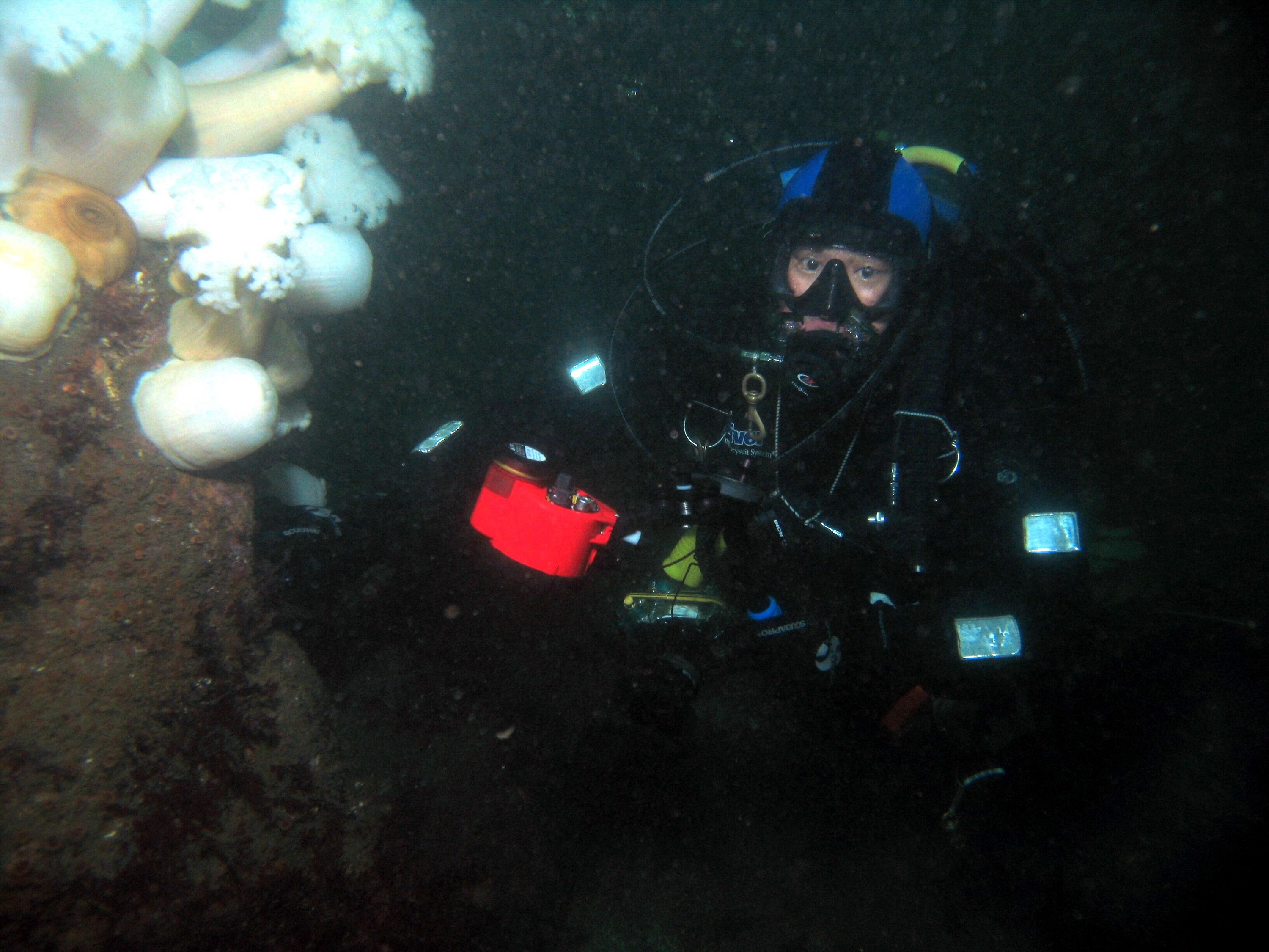 ericson, THE SCUBA JUNKIE, in the metridian fields