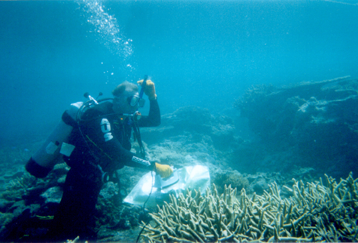 Extreme Underwater Ironing