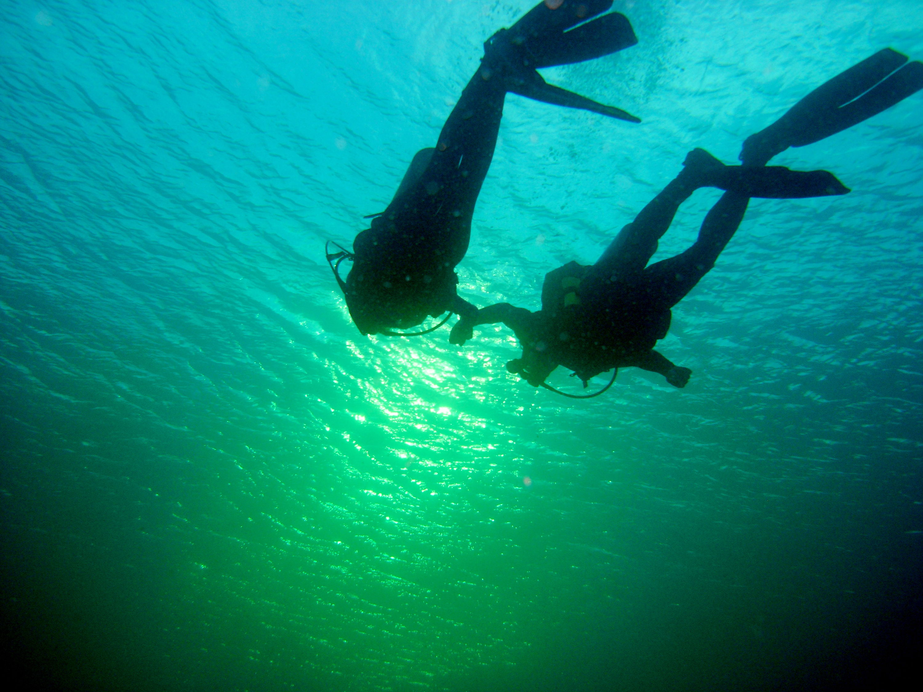Families who dive together...