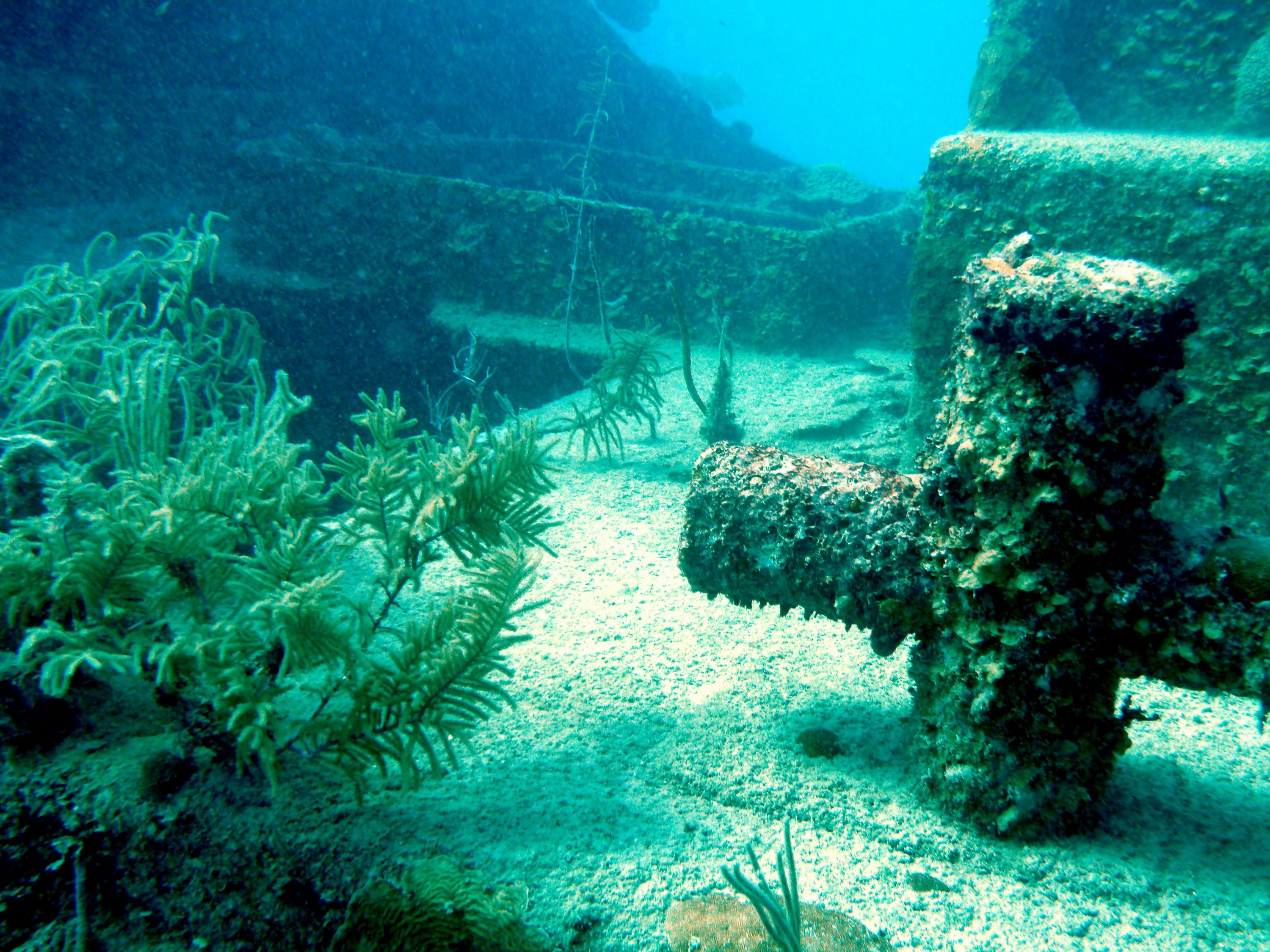 Fantasy Island Roatan Shore Dive