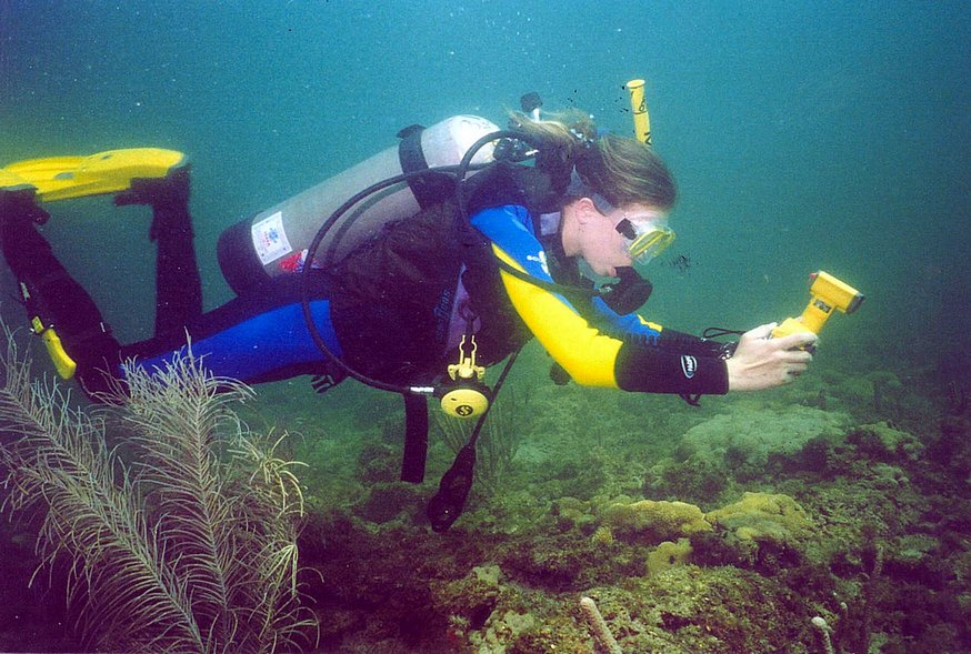 Favorite Dive Buddy