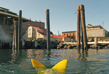 FFinPilings