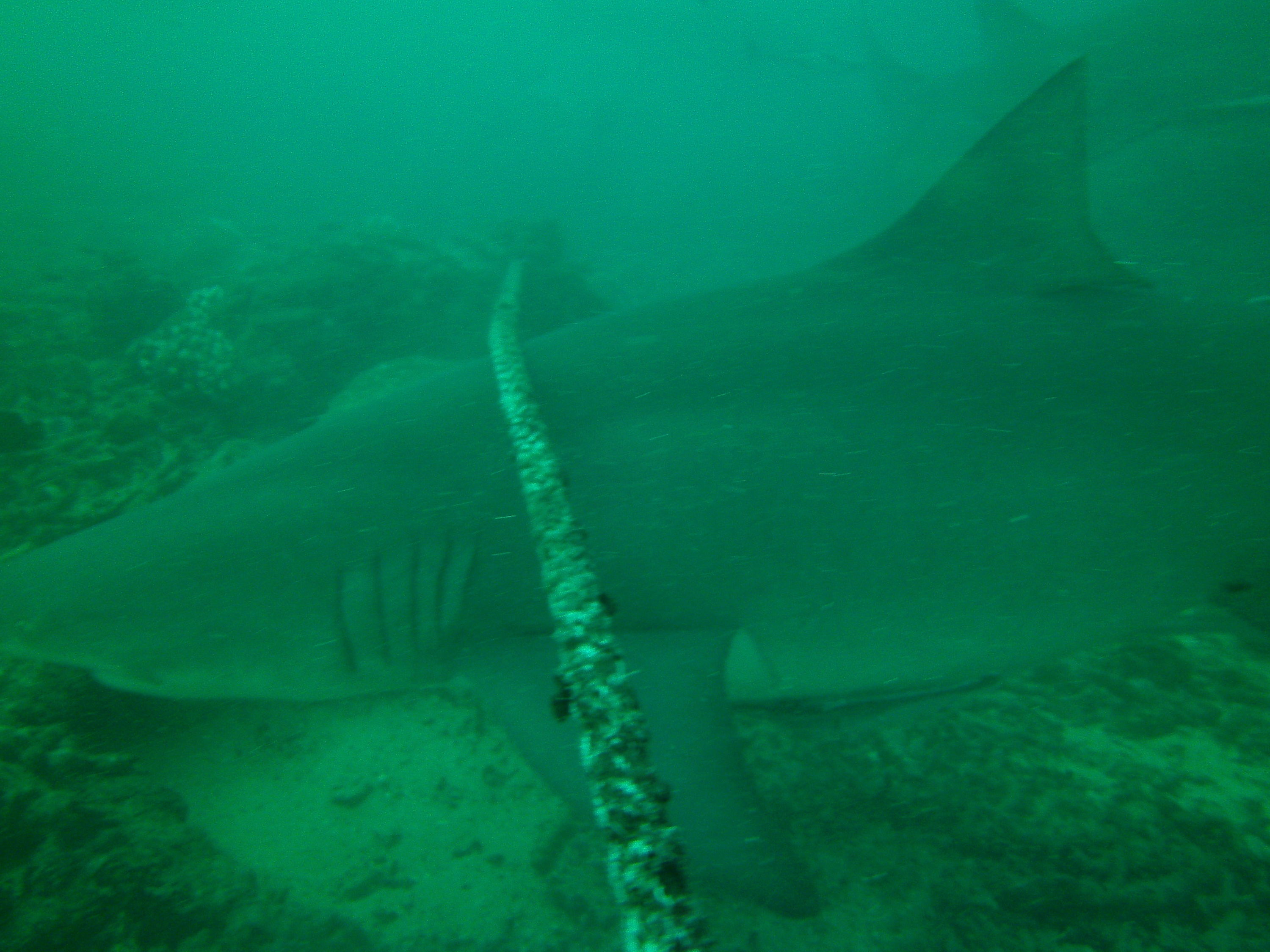 Fiji 2012