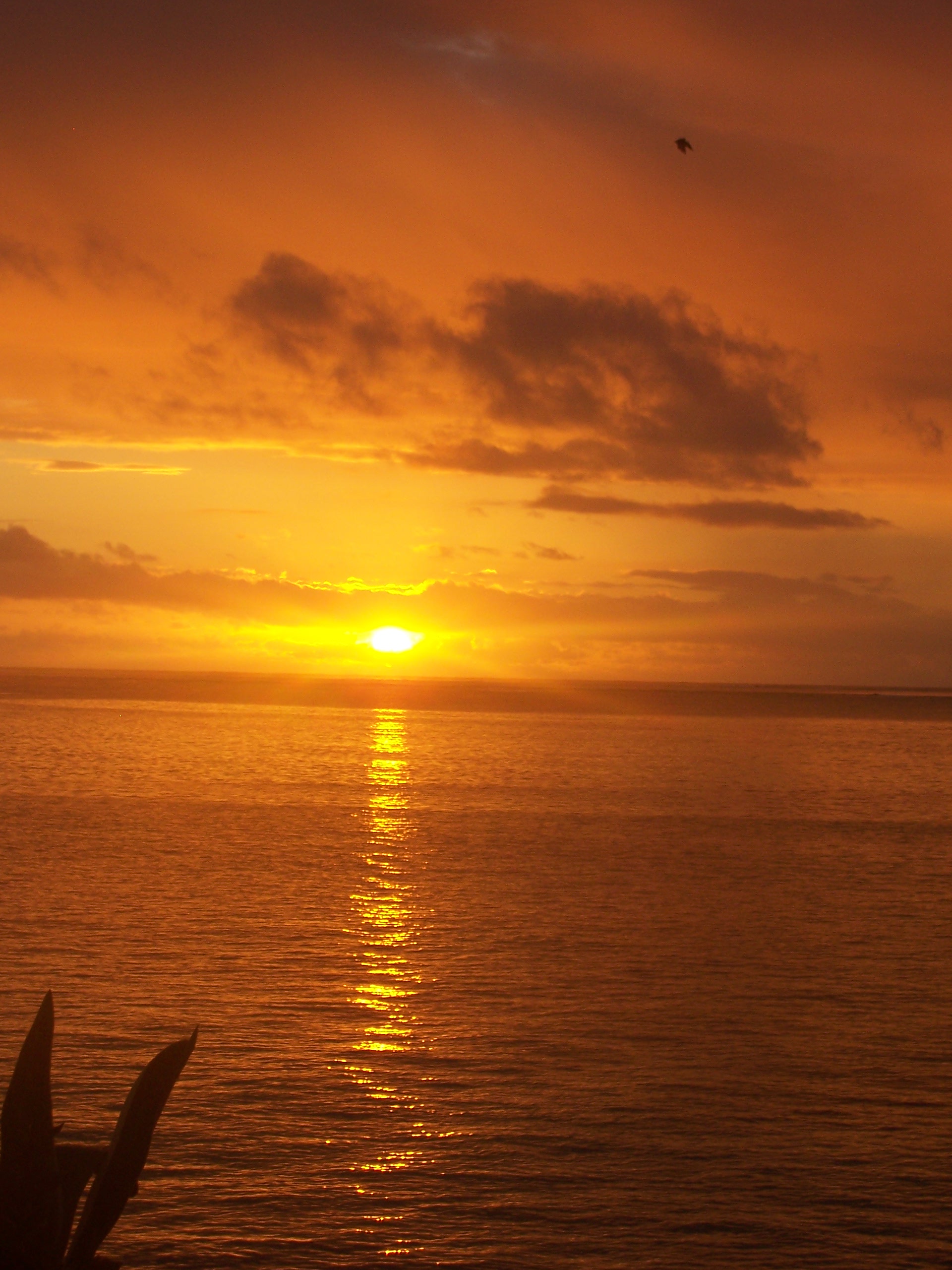 Fiji Sunset