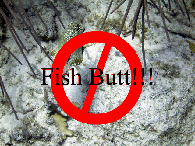 Fish Butt!!!