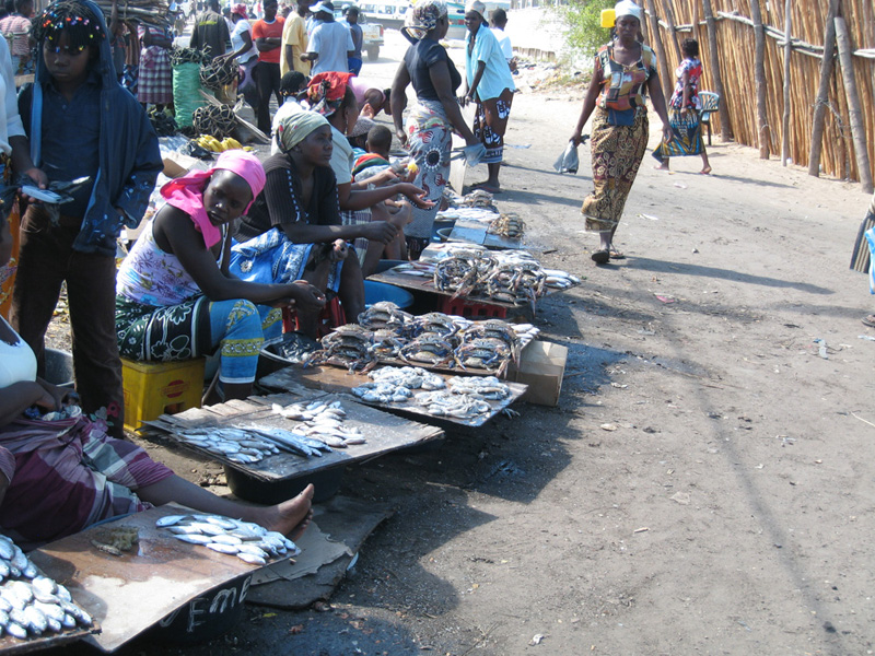 Fish market