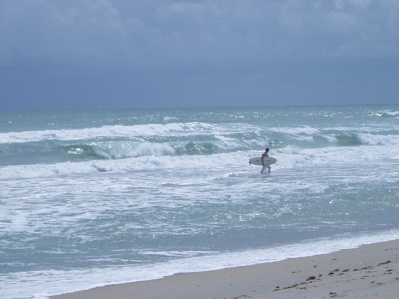 FLA and The Caribbean